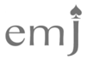 The EMJ Company